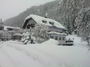 Pension zum Bergmann, Innerkrems, Österreich